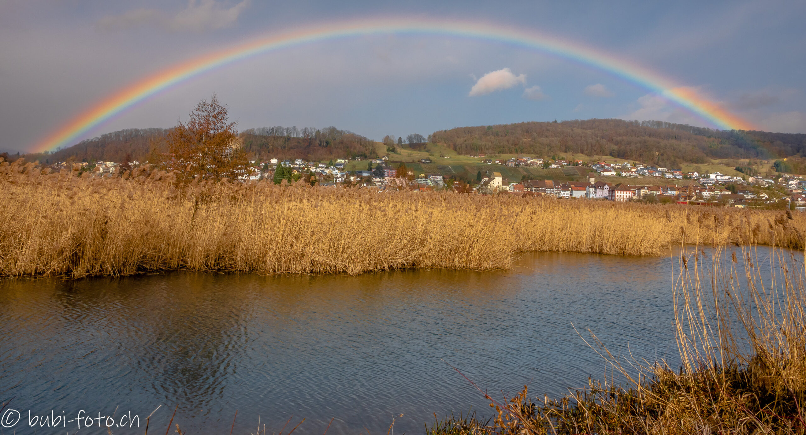 Klingnauer Stausee Neeracher Ried Flachsee Jahresr Ckblick Bubi Foto